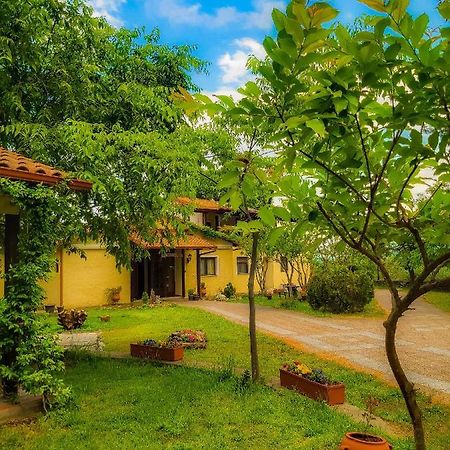 Villa Anthemia Naousa  Exteriör bild