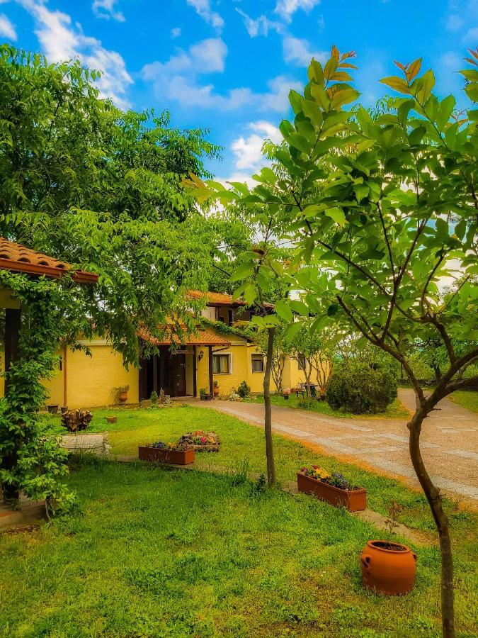 Villa Anthemia Naousa  Exteriör bild