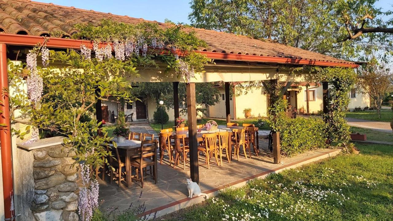 Villa Anthemia Naousa  Exteriör bild